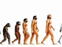 Evolution and it’s Future designed by Humanity
