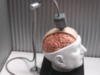 Brain Computer Interfaces- About Thinking and Data Processing